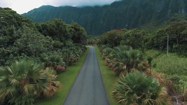 Relaxing Run Through Scenic Hawaii