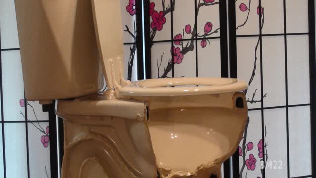 Don’t Flush Spiders Down The Toilet