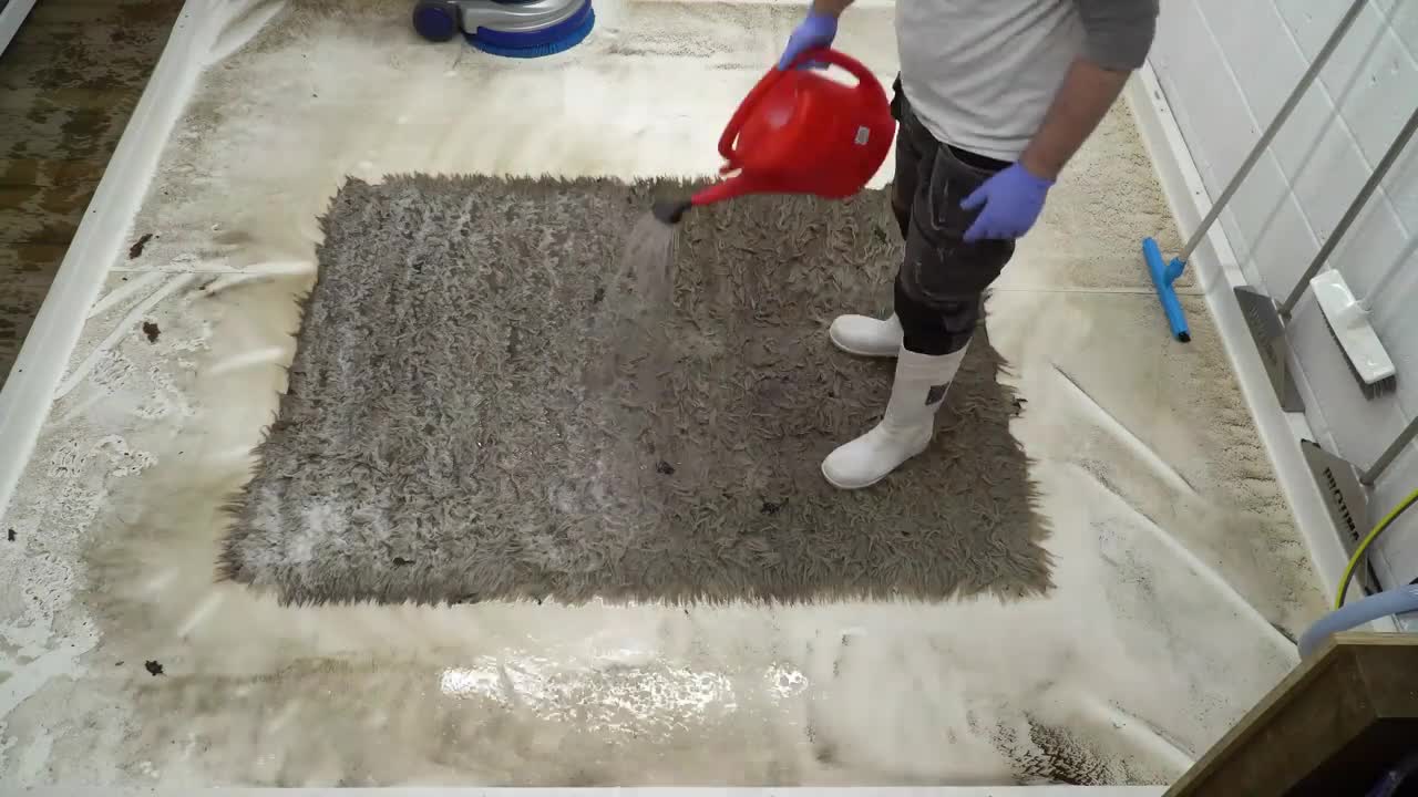 Maggot Infested Rug Time lapse | Satisfying Carpet Cleaning