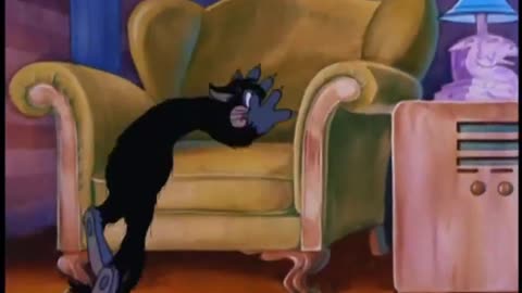 MGM Cartoons - 1941x07 - The Alley Cat