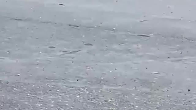 In a hurry