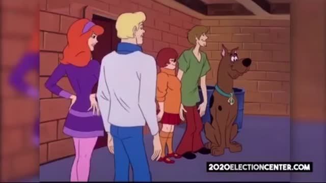 The COVID-19 Mystery