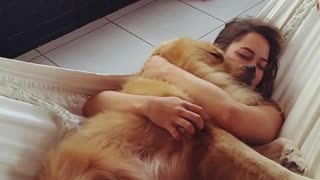 Golden Retriever Snuggles With Owner On Hammock