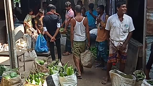 Exclusive Vegetable Market