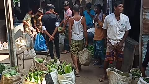 Exclusive Vegetable Market