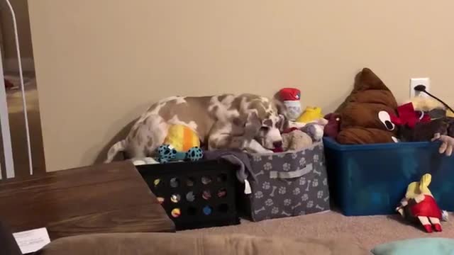 101 ways to use a toy box!