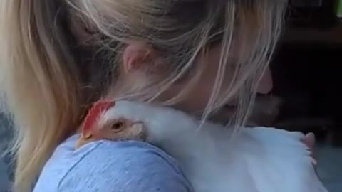 Humans Cuddle With Hens & Roosters