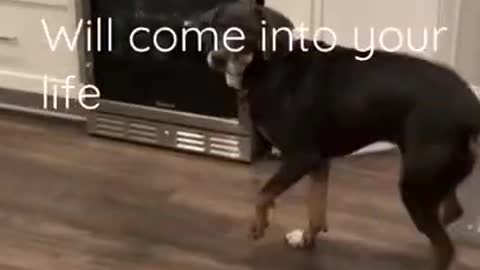 .If you’re lucky..