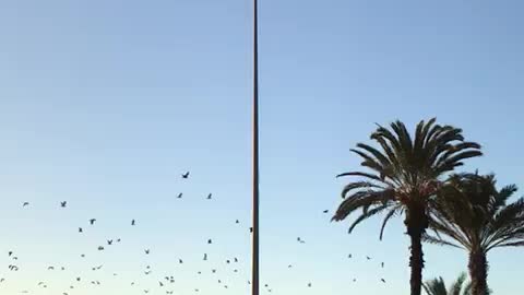 Beautiful view of the sky