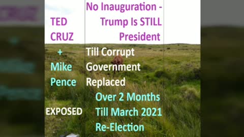 TED CRUZ & MIKE PENCE EXPOSED ---- Many Exposures FALL INTO THEIR OWN PITS !
