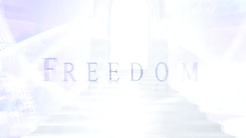 FREEDOM OF LIGHT