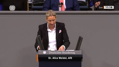 AfD Alice Weidel Bundestag - Dauerpanik in Deutschland