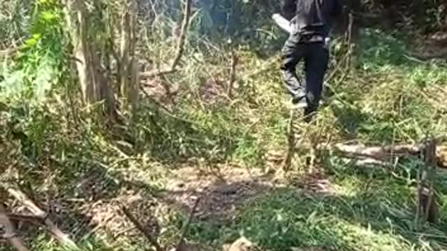 land clearing with shabby heavy equipment to make it look neat