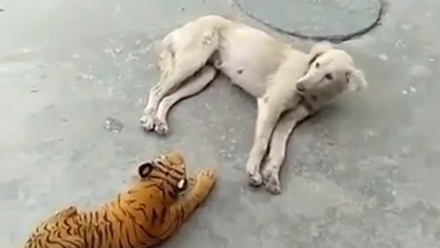 I'm sleeping then....