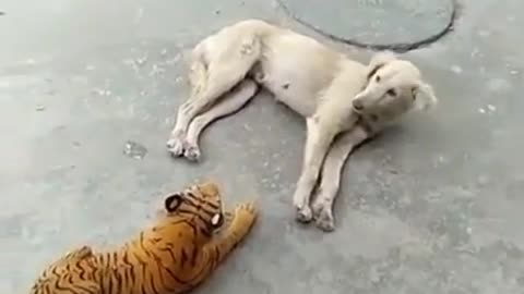 I'm sleeping then....