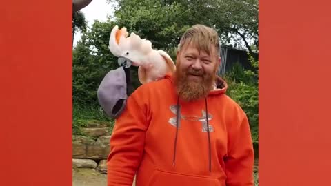 UNEXPECTED Animal ATTACKS! | AFVs Wildest Animal Moments