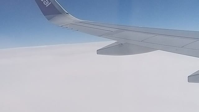 ام دبليوا اتش