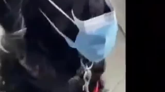 SOBRE LA DEFINICIÓN DE "IMBECILES"...