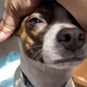 Which is better Princess - sunshine or ear rubs