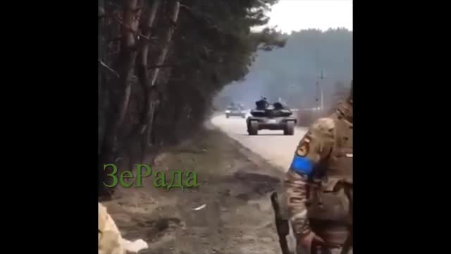 Ukrainian friendly fire