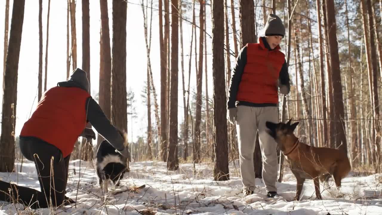 Man and woman using sticks and playing with their adorable active dogs during walk in winter woods