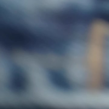 Canadian Geese are wild