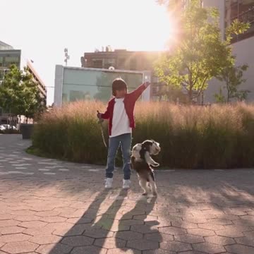 Siberian Husky Dog Price in India 2021 (Monthly Expenses Included)