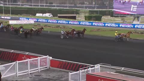 QUINTE + Easy des Flics - Prix Reverdy - Prix des Vosges - Vincennes - 14/02/2021