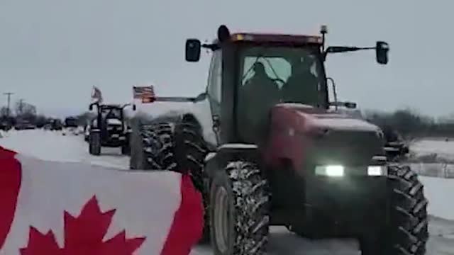 Farmers for Freedom create convoy at Sarnia border crossing to US
