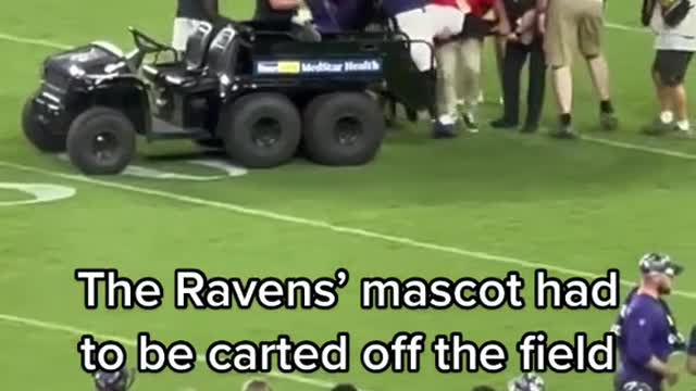 football#nfl#baltimore#ravens#fall#injury#mascot