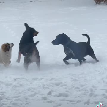 First time in the snow ❄️💙