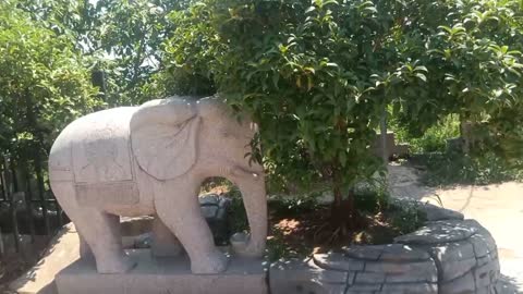 Two little elephants, ha ha