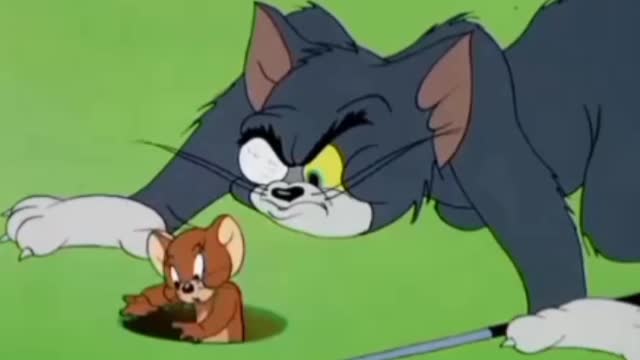 Tom and Jerry , funny cartoons, #tomandjerry in hindi #tomandjerryhindi