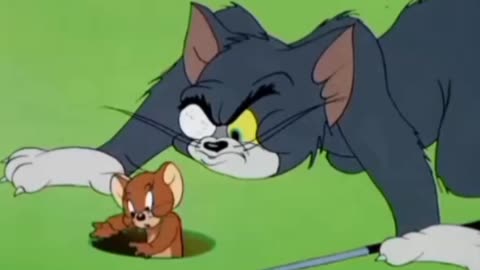 Tom and Jerry , funny cartoons, #tomandjerry in hindi #tomandjerryhindi