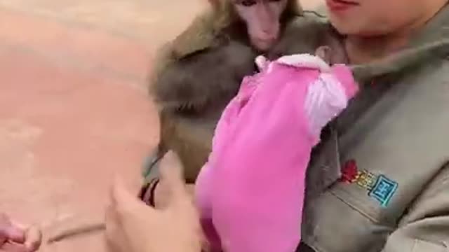 CHINA FUNNY VIDEO 2021 🤣 CHINESE COMEDY