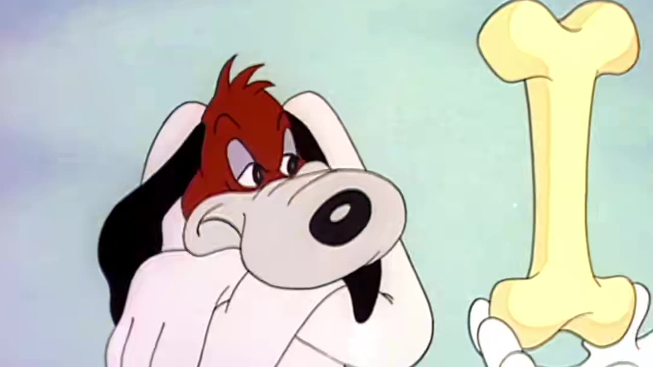 Droopy catches a fox #droopydog #oldcartoon #fullcartoon #vintagecartoon #yoinkies