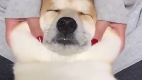 Time For A Facial ... ❤️❤️😍👌👌👌