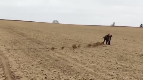 Children on a walk