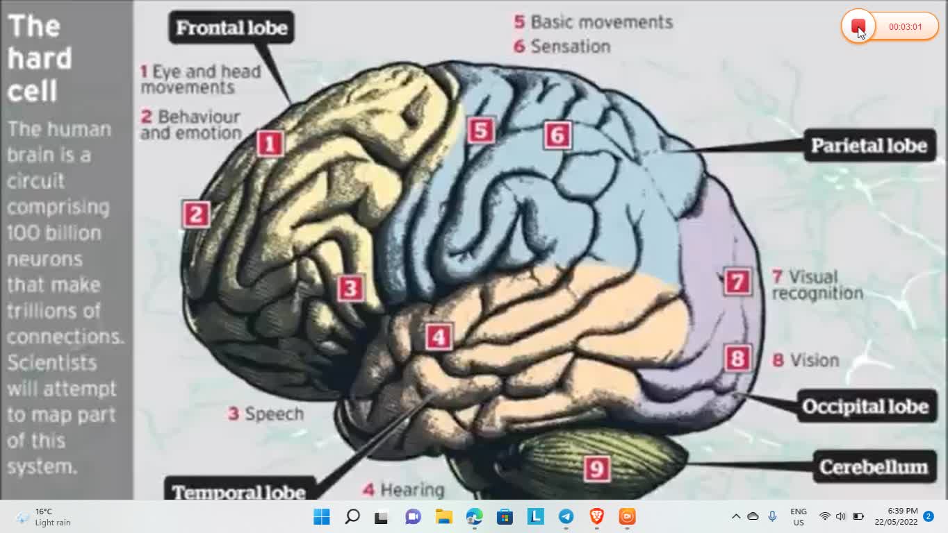 The Ultimate Hack - Your Brain