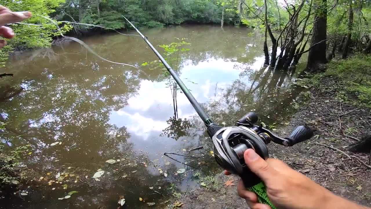 Catching HUGE Fish (Live bait Fishing)