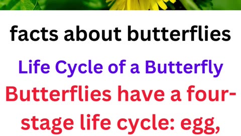 facts about butterflies...2/25