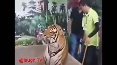 Most viral funny pranks