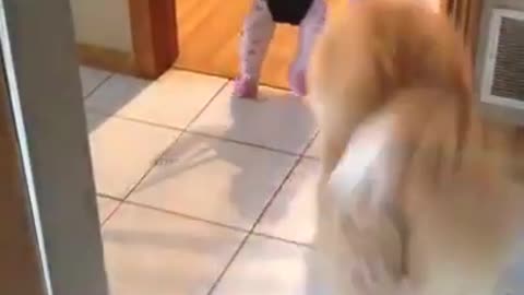 This Dog Seems To Communicate With This Baby