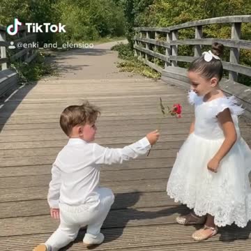 Sweet little boy gets down on one knee to give girl a rose