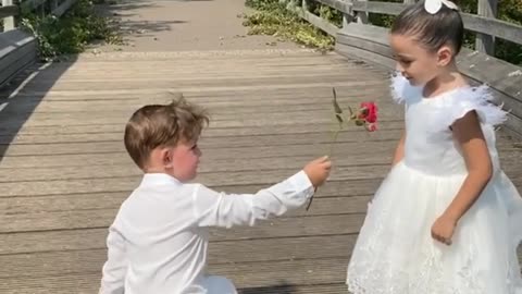 Sweet little boy gets down on one knee to give girl a rose