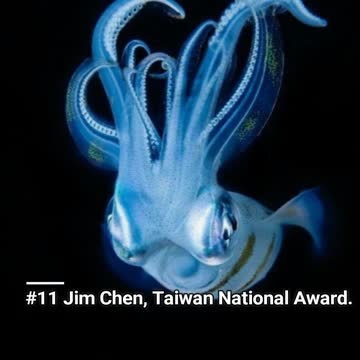 Sony's 2017 International Photography Awards