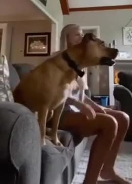 Super Excited Dog cheering to Cristiano Ronaldo for his Football Goal