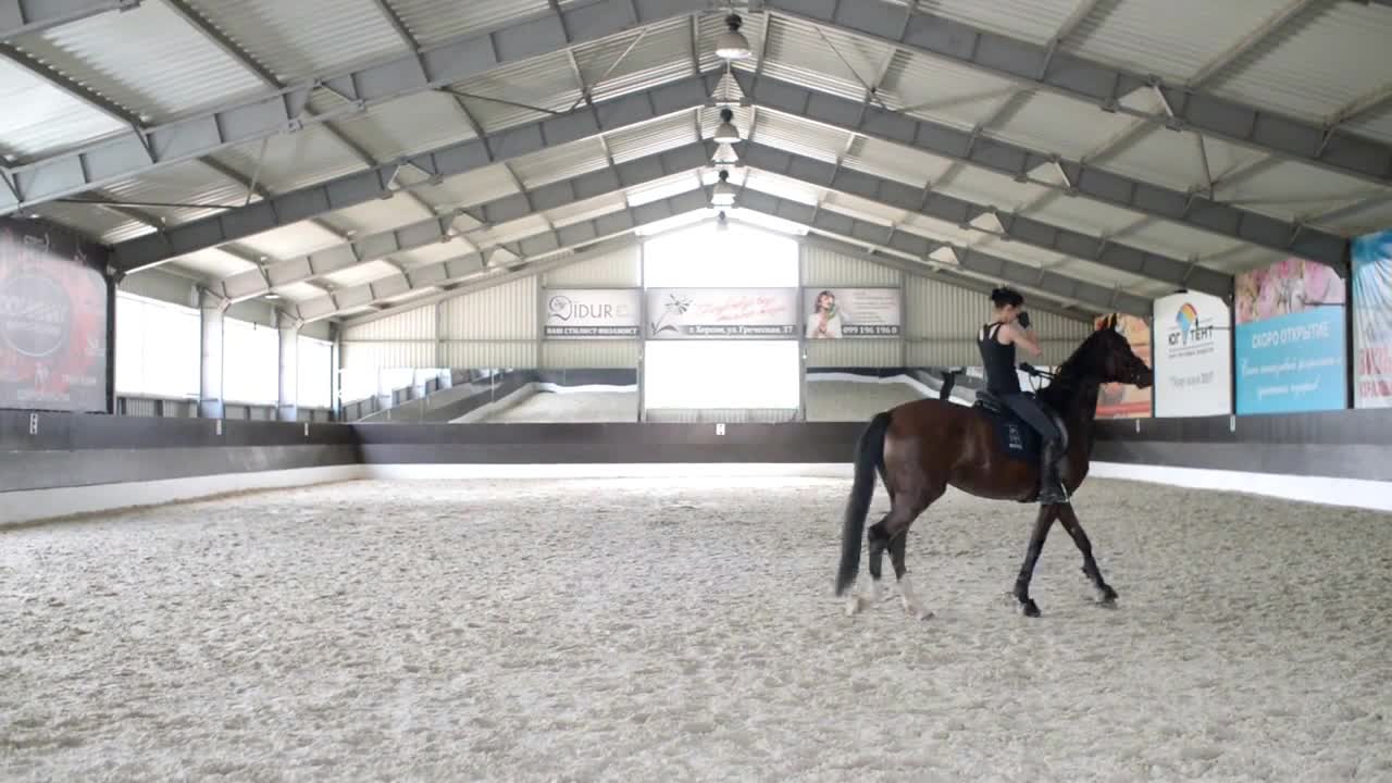 Girl toured the horse - horseback riding on the sand in the enclosure