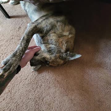 Lilla living with cancer.