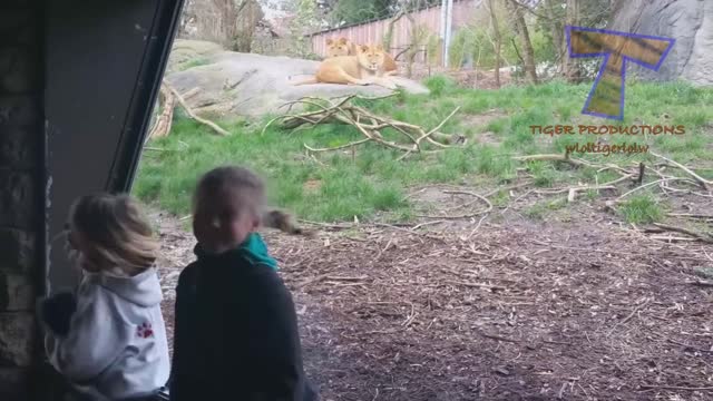 Funny KIDS vs ZOO ANIMALS are WAY FUNNIER!